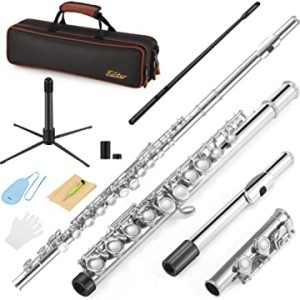flutes for school music programs