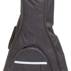 Mandolin Bag Padded 10 Mil